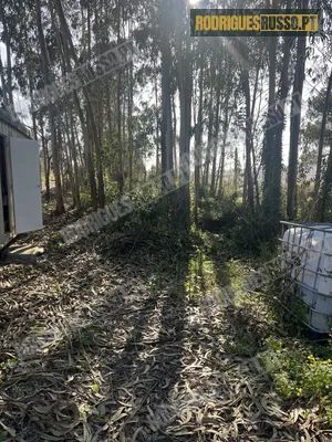 **NOVO PREÇO** Terreno com contentor Famalicão/Nazaré